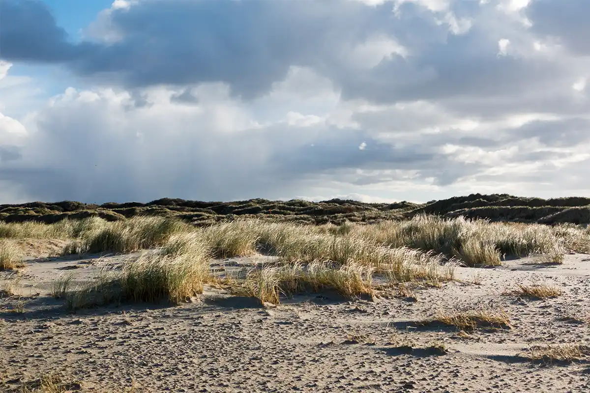 A sunny beach on Juist in Germany